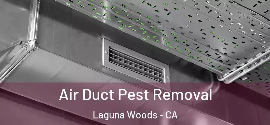  Air Duct Pest Removal Laguna Woods - CA