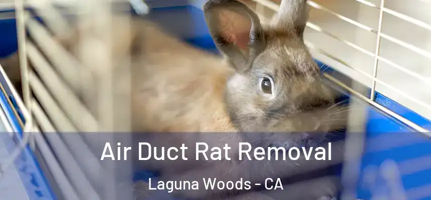  Air Duct Rat Removal Laguna Woods - CA