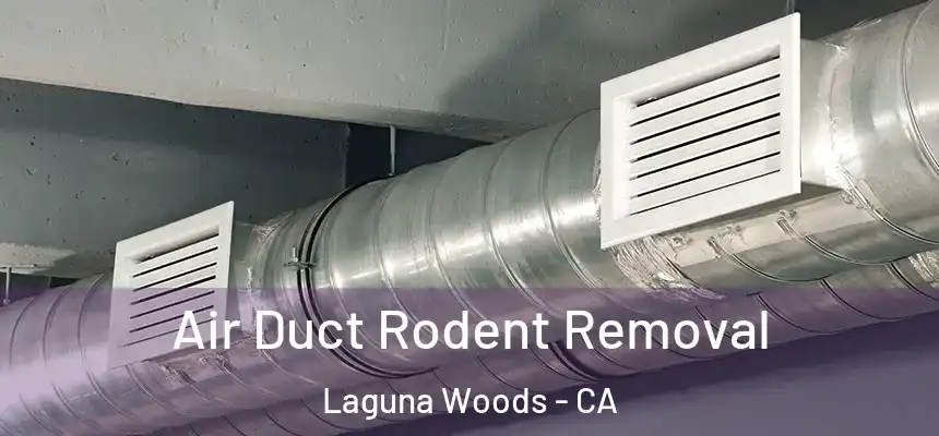  Air Duct Rodent Removal Laguna Woods - CA