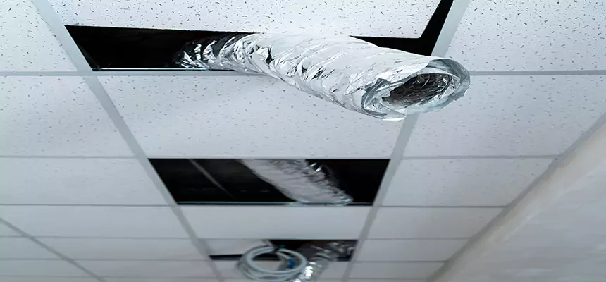 Affordable HVAC Sanitizing After Pest Removal in Laguna Woods