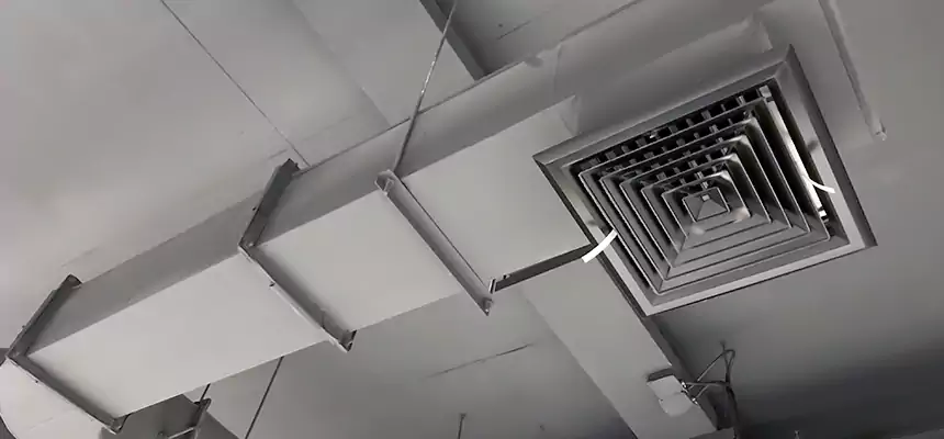 Our Pest Removal From Ducts Services in Laguna Woods, CA