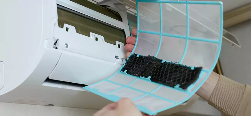 Gentle Ductwork Odor-Control Pet Dander Duct Cleaning in Laguna Woods, CA