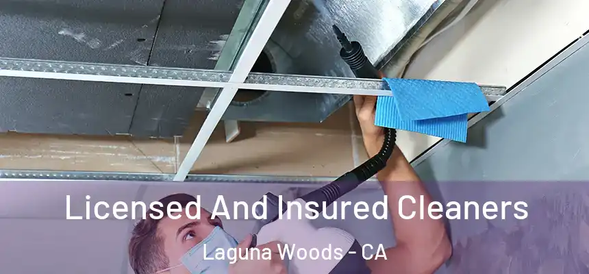  Licensed And Insured Cleaners Laguna Woods - CA