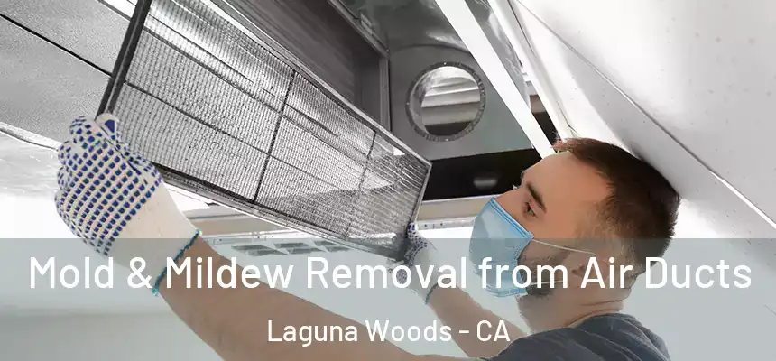  Mold & Mildew Removal from Air Ducts Laguna Woods - CA