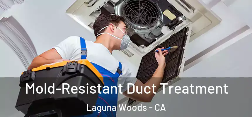  Mold-Resistant Duct Treatment Laguna Woods - CA