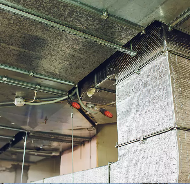 Why Homeowners & Businesses Trust Us in Laguna Woods, CA?