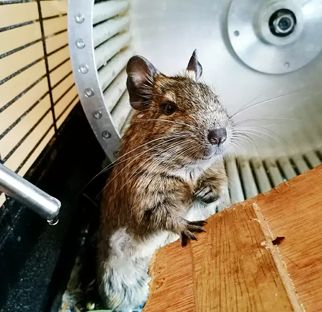 Why Homeowners & Businesses Trust Us Laguna Woods, CA